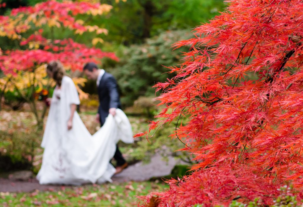 the-wedding-free-license-cc0