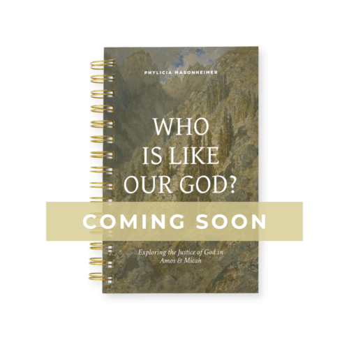 Amos/Micah Bible Study