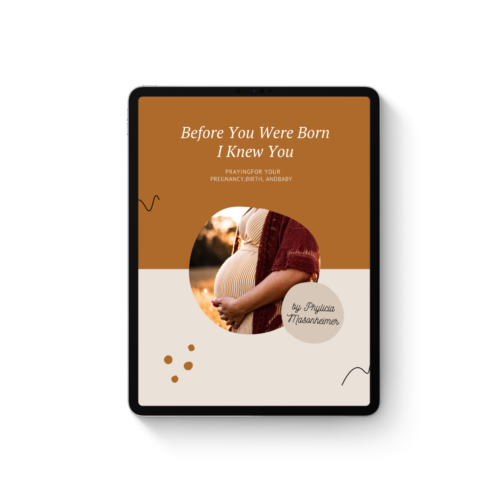 Before You Were Born Ebook
