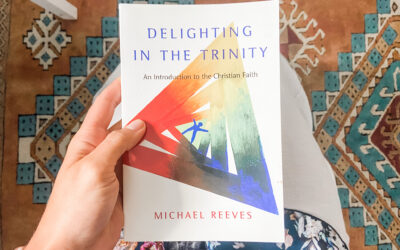 Delighting in the Trinity [Book Review]