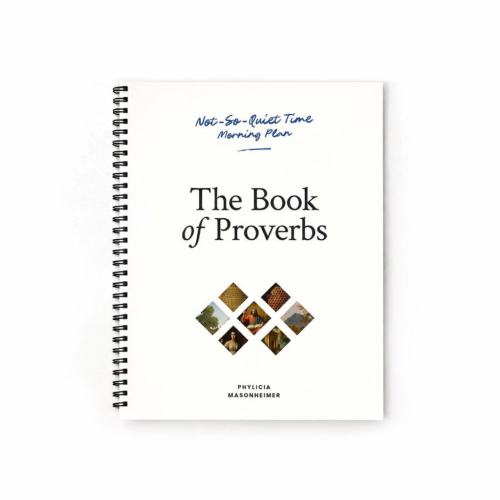 Not-So-Quiet Time: Proverbs