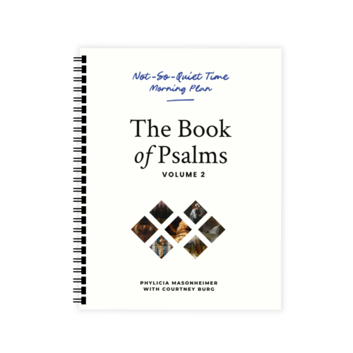 Not-So-Quiet Time: Psalms Volume 2