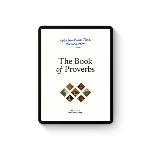 Not-So-Quiet Time: The Book of Proverbs Ebook