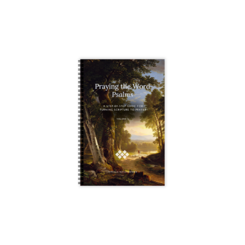 Praying the Word Prayer Guide: Psalms Volume 2