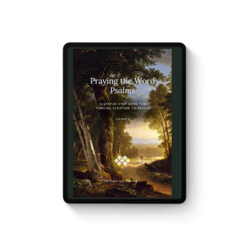 Ebook Praying the Word Prayer Guide: Psalms Volume 2
