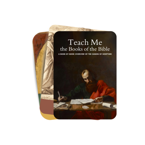 Books of the Bible Large Format Card Set