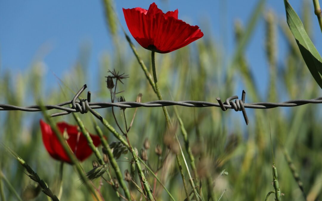 Do We Need Deliverance Prayer?