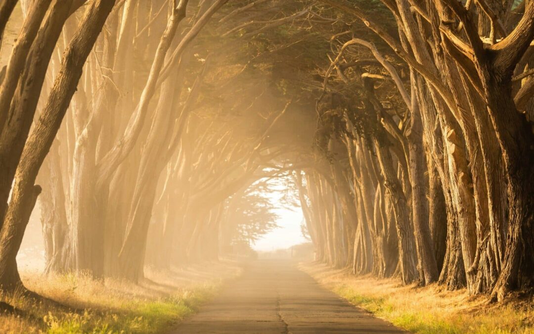 Praying God’s Will