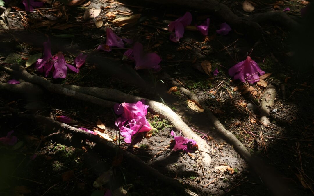 When God Doesn’t Answer